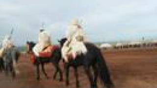 mawssim takhssayt chevaux marocaine [upl. by Sitoel356]