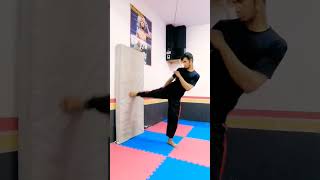 Side kick Combination fitness rgzaib bredanfou best martialarts shorts viral [upl. by Pail]