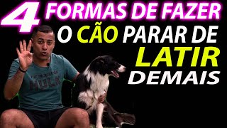 COMO FAZER O CÃO PARAR DE LATIR  4 MANEIRAS [upl. by Alig]