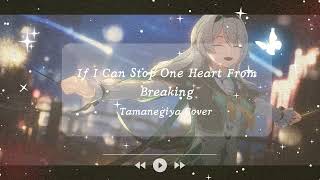 If I Can Stop One Heart From Breaking Honkai Star Rail OST Cover [upl. by Kerrin]