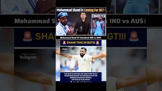 Mohammad Sami Comeback  IND vs AUS  shorts shubhankarmishra sami youtubeshorts indvsaus [upl. by Roddie]