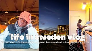 Weekly Vlog🇸🇪 The Struggles Behind CoParenting After Separation  The Bitter Truth  VLOG [upl. by Ul]