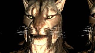 Faces Of SkyrimKhajiits 20 new close up pictures analysed HD [upl. by Anwahsiek799]