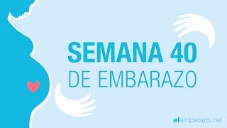 Semana 40 de embarazo  40 semanas de embarazo  El embarazo semana a semana [upl. by Akyre]