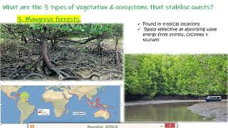 video 3 coasts how does vegetation stabilise coastlines [upl. by Rianna]