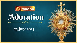 🔴 LIVE 25 June 2024 Adoration 1100 AM  Madha TV [upl. by Arrak730]