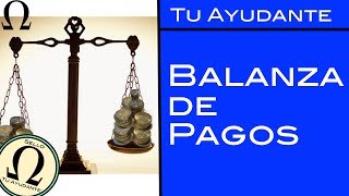 Balanza de Pagos  Subcuentas  Tu Ayudante Economía [upl. by Notnirt]