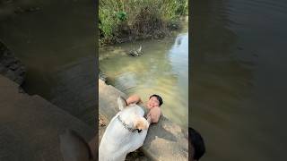 The Dog Saves Its Owner from Being Swept Away by the FloodPet doglover dog [upl. by Kenwrick454]