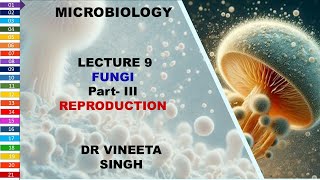 Understanding Fungal Reproduction [upl. by Ennaej89]