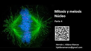 Mitosis y meiosis Parte 4 Hernán Aldana [upl. by Atirabrab]