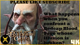 Baldurs Gate 3 What happens when you confront a Redcap Blood Sage whose illusion is broken [upl. by Pirbhai]