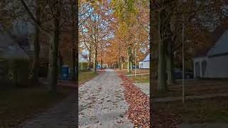 Biking along Kortrijk Belgium [upl. by Hubey35]