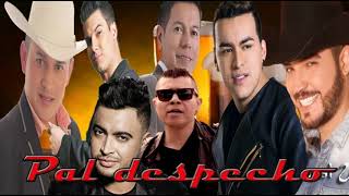 Pal despecho mix [upl. by Mcdade]