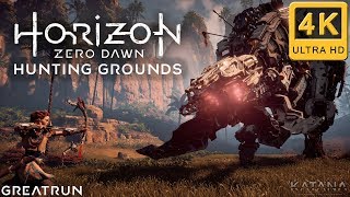 Horizon Zero Dawn Hunting Grounds Walkthrough  Very Hard No Damage  Greatrun [upl. by Viva]