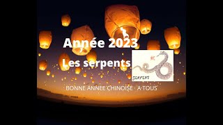 🐍 Serpents  signe astrologique chinois pour lannée 2023 🐍 [upl. by Nahtonoj968]