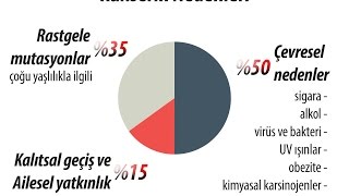 Kanser nedir Kanserin nedenleri nelerdir Kanser önlenebilir mi [upl. by Blackmun]