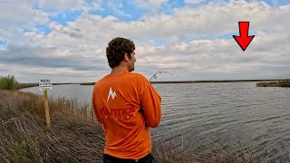 This 50ft Fishing hole was Loaded with Multiple Species [upl. by Lumbard]