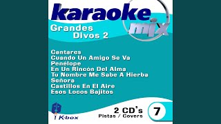 Castillos En El Aire Karaoke Version [upl. by Nomolos]