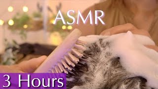 ASMR 3 Hours of Satisfying Shampoo amp Hair Wash for Stress Relief  No Talking [upl. by Natalee]