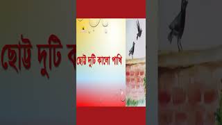 Two Little BlackbirdsTwo little blackbirds বাংলা অনুবাদসহEnglish Rhymes For ChildrensZS School [upl. by Eerb]