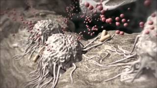 CGF Osseointegration Animation [upl. by Lemyt]