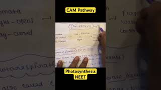 CAM Pathway In 1 Minutes 4 Marks NEET Biology Photosynthesis In Higher Plants neet2024 neetexam [upl. by Nomled982]