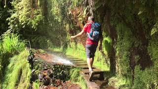 Levada do Rei  Madeira Levada Walk [upl. by Lytsirk69]