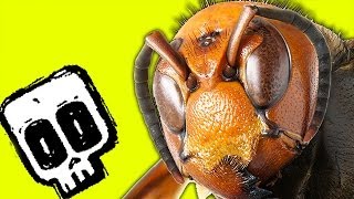 Giant Hornet vs Honey Bees  Deadliest Showdowns  BBC Earth [upl. by Eisele]