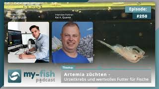 myfishorg  Artemia züchten  Urzeitkrebs und wertvolles Futter für Fische Kai A Quante [upl. by Akilegna]