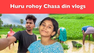 huru rohoy chasa din 🌾🌾  new santali vlog video  new santali video 2024  sushil and sushila vlogs [upl. by Ahtelra972]