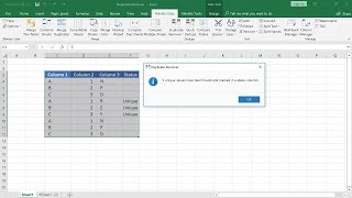 How to identify unique rows in Excel sheet [upl. by Samp]