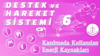 Destek ve Hareket Sistemi 6  Kasılmada Kullanılan Enerji Kaynakları  AYT Biyoloji [upl. by Nivrek937]