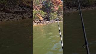 Fall Fishing Lake Lanier Largemouth [upl. by Enaz]