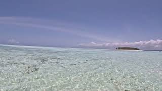 Isla Mnemba  Paraiso en Zanzibar caminata [upl. by Adnawot]