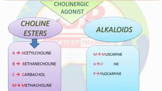 CLASSIFICATION OF CHOLINERGIC DRUGSPARASYMPATHOMIMETIC  PHARMACOLOGY  SIMPLE TRICK  MNEMONICS [upl. by Submuloc]