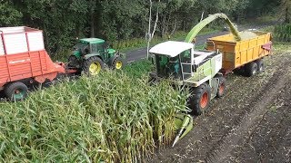 Chopping corn silage with Claas amp John Deere [upl. by Sharl557]