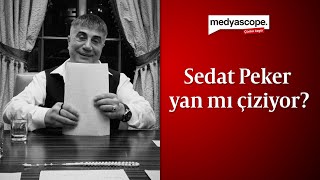 Sedat Peker yan mı çiziyor [upl. by Daron406]