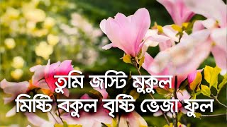 তুমি যষ্টি মুকুল মিষ্টি বকুল বৃষ্টি ভেজা ফুল ।। Tumi josti mukul misty bokul ।। Full Lyric ।। PHS HD [upl. by Levona]