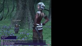 FFXI Seekers of Adoulin Mission 521 [upl. by Aivirt]