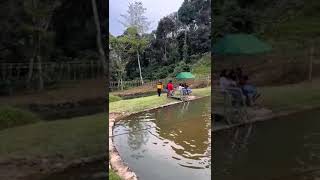 Saalugudda Resort Adventure  best place to stay in Karnataka best place near Bangaloreteam outing [upl. by Neerom]