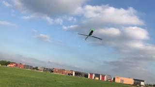 First inverted flight with Align 450 Pro and 470LM [upl. by Bondie]