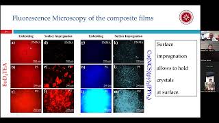 Colorimetric Mechanical Sensors Based PolymerParticle Systems [upl. by Anha461]