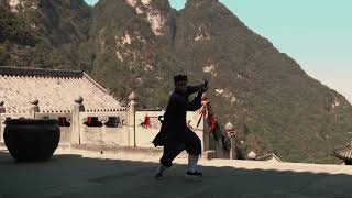 WuDang LeonDanShuan Shou Jian or Twohanded sword [upl. by Noivax]