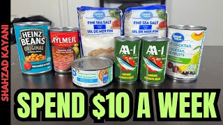 10 Prepper Pantry Haul  Prepping Is Cheap and Simple [upl. by Aimik]