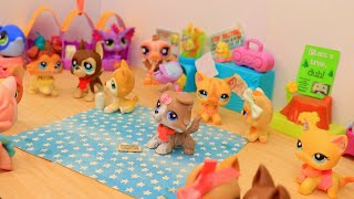 LPS High School Stories with LPSEmily amp PuppyLover863 [upl. by Pudendas]