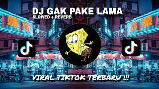 DJ GAK PAKE LAMA SLOWED  REVERB VIRAL TIKTOK TERBARU [upl. by Ulla209]