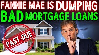 Fannie Mae is Selling Thousands of Non Performing Mortgages  Dont Tell Anyone [upl. by Nednerb]