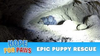 Epic puppy rescue  18 feet into the earth Dangerous Hope For Paws rescue puppy [upl. by Einnep]