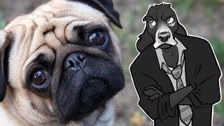 Whats Wrong With PUGS and Pedigree Dog Breeding  Cynical Reviews [upl. by Conlan963]