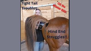 Tail Tension Troubles Hind End Struggles [upl. by Madelene]